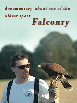 Falconry